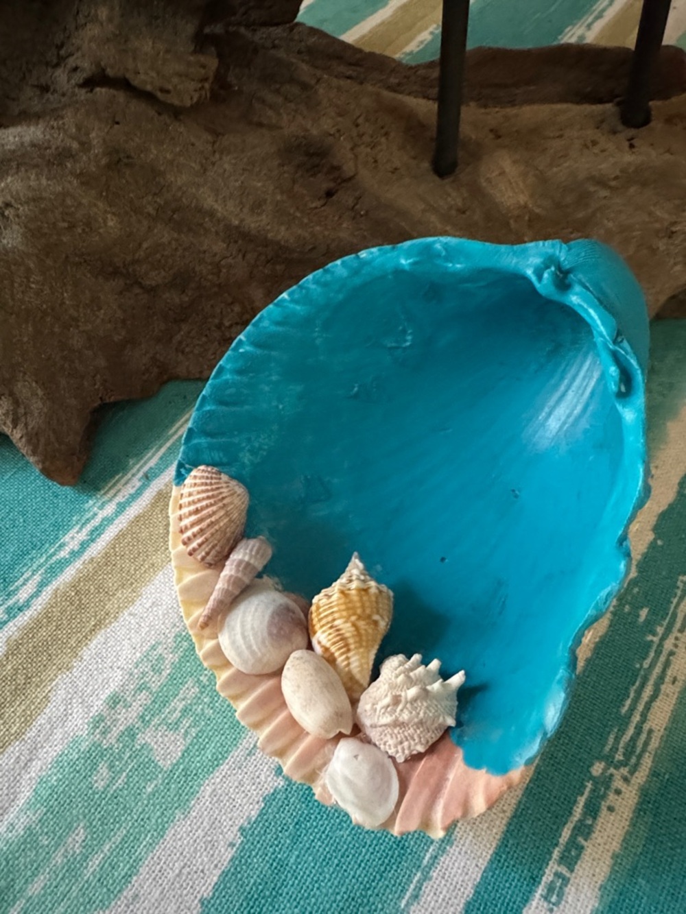 Seashell Decor - Picture 3 of 3